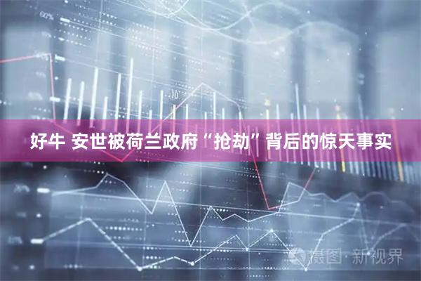 好牛 安世被荷兰政府“抢劫”背后的惊天事实